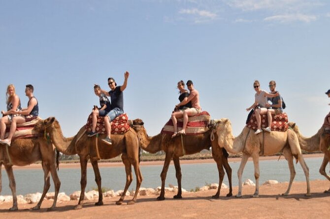 2 Hours Camel Riding Experience in Agadir - Pricing Details