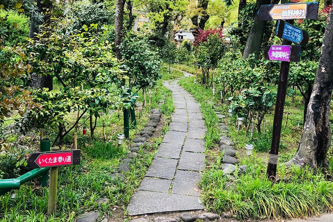 2 Hours Private Guided Walking Tour in Osaka - Additional Notes