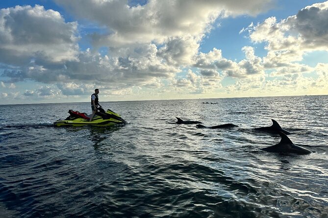 2 Jetski Half Day Guided Tour in Sarasota County - Schedule and Availability