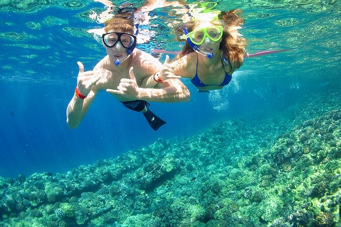 2-Stop Adventure: Stingray City and Snorkeling at Cayman Reefs - Accessibility Features