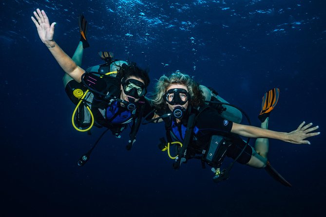 2-Tank Maui Turtle Scuba Dive or Snorkel Boat Tour - Encountering Marine Life