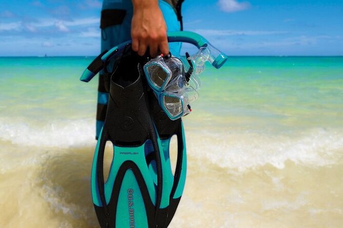 24 Hour Rental Snorkeling Gear [Mask, Snorkel, Fins] - Equipment Inclusions