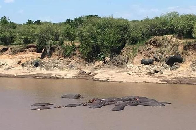 3-DAY Best Maasai Mara Safari (POPULAR) - Accessibility Features