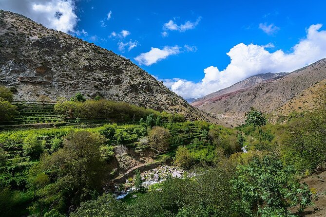 3 Day Mount Toubkal Trek: Azzaden Valley and Toubkal Summit - Traveler Reviews and Feedback