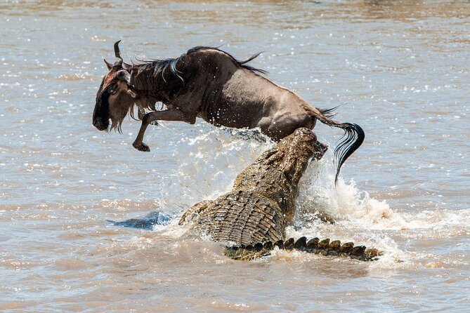 3 Days Serengeti- Ngorongoro Crater Budget Tour - Daily Itinerary Highlights