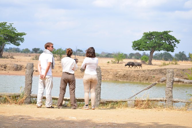 3 Days to Mikumi National Park From Dar Es Salaam - Transportation Information