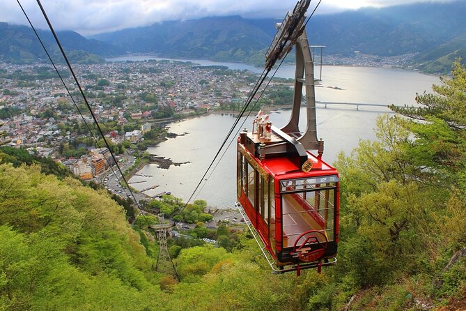 3 Days Tokyo, Mount Fuji and Nikko Private Tour - Exclusions