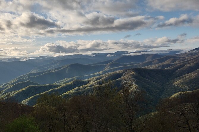3 HR Smoky Mountain, Cherokee, Blue Ridge Parkway, Jeep Adventure - Accessibility Information