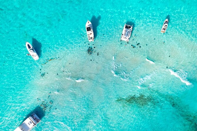 3-Stop Adventure: Stingray City and Snorkeling at Cayman Reefs - Accessibility Features