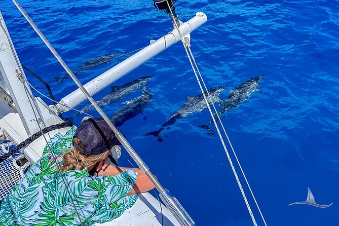3hr Luxury Private Sailing Catamaran in Waikiki for 1 to 6 People - Meeting Point and Pickup Details