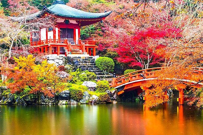 4-Day Private Kyoto Osaka Nara Sightseeing Tour With Guide - Accessibility and Participation