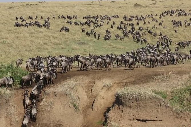4 Days Group Joining Budget Safari To Masai Mara And Lake Nakuru National Park - Meeting and Pickup Details