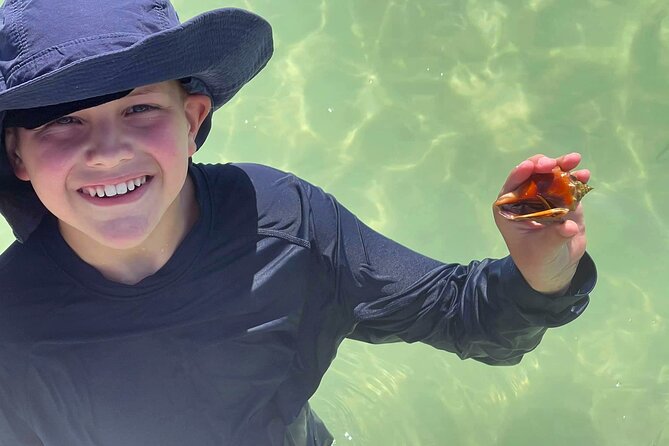 4 Hour Beach Tour in Tierra Verde Review - Tour Highlights