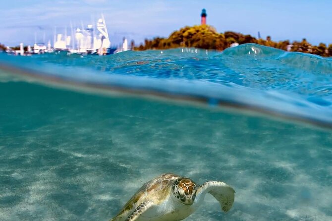 4 Hour Narrated Sightseeing Tours & Sunset Trips: West Palm Beach - Accessibility and Participation Requirements