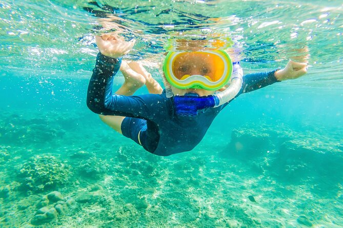 4 Hour Private Snorkeling Tour in Kona - Health and Accessibility
