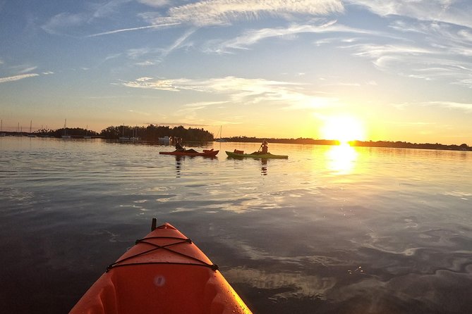 4 Hour Tandem Kayak Rental For Two People In Crystal River, Florida - Customer Experiences