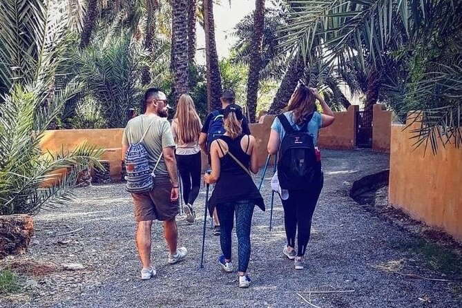 4 Hours Adventure Trip In Hatta Dubai - Health and Safety Guidelines