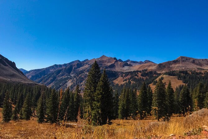 4 Hours Durango Colorado - Jeep Tour - Health and Safety Information