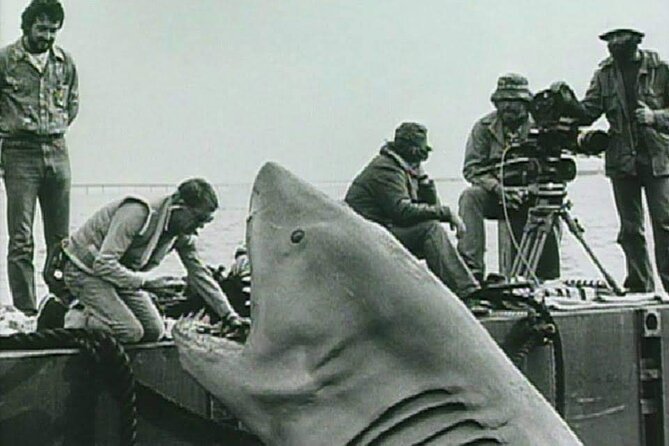4 Hours Hop-On Hop-Off Jawsome Jaws Tour - Exploring Marthas Vineyard