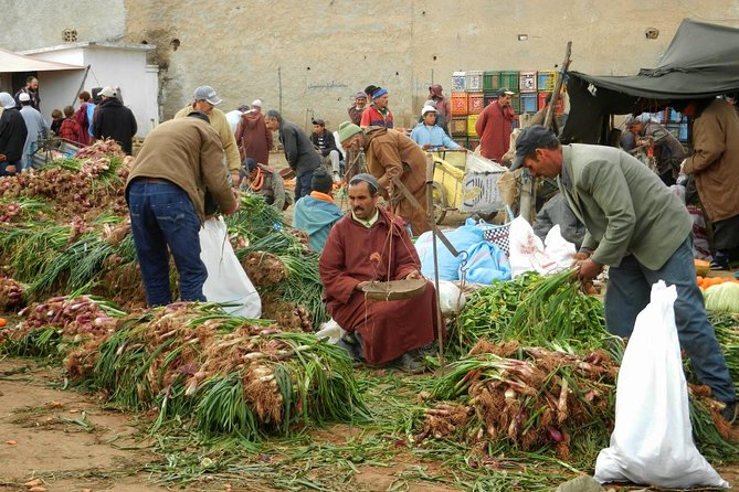 4 Hours Trekking in the Atlas Mountains From Marrakech - Meeting and Pickup Details