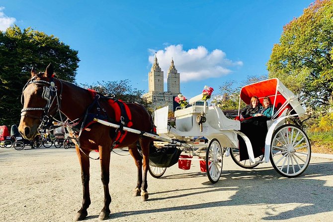 45 Minute VIP Central Park Carriage Ride - Meeting and Cancellation Policy