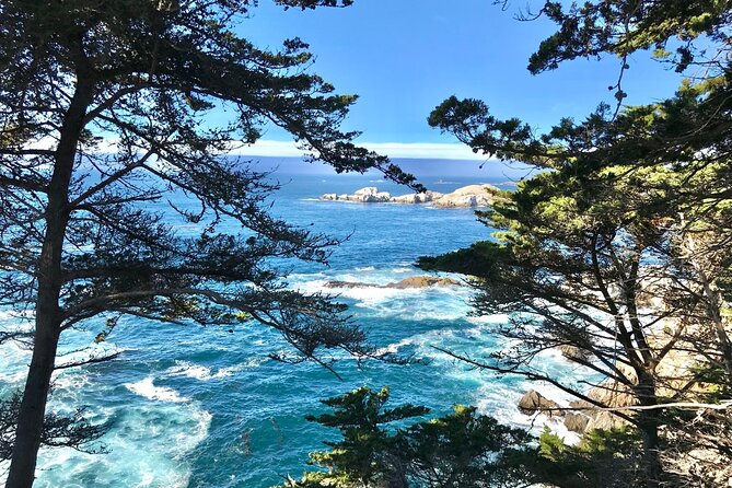 5-Day In Depth San Francisco Tour Review - Memorable Experiences and Attractions