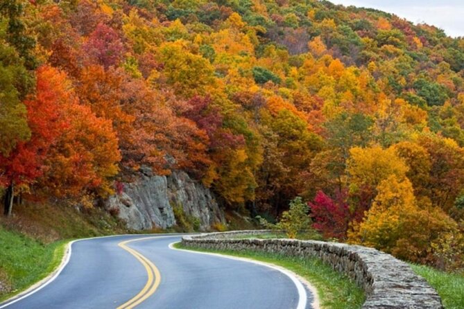 5-Day Tour in Washington D.C. With Airport Pick-Up - Transportation Details
