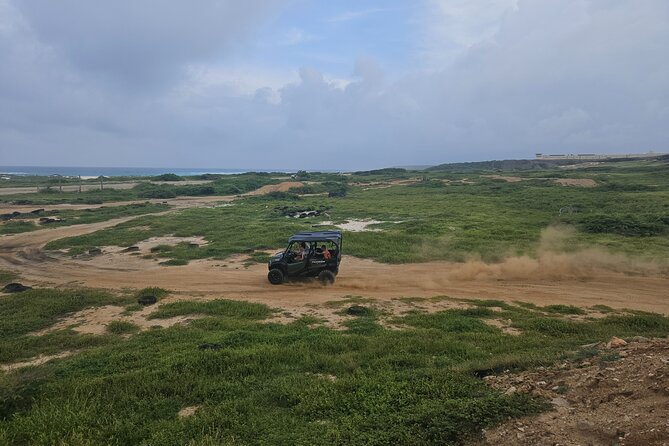 5-Seater UTV 4 Hours Island Tour in Aruba - Meeting and Pickup Information