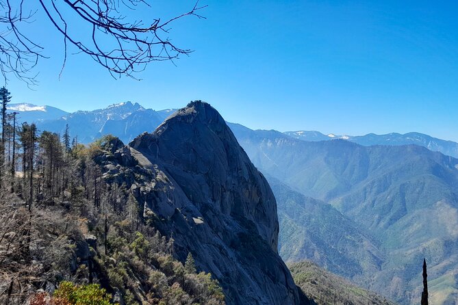 5 Star Rated Sequoia National Park Tour - Tour Experience