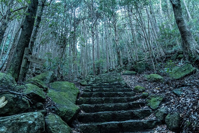 6 Day Private Ise and Kumano Tour - Accommodation