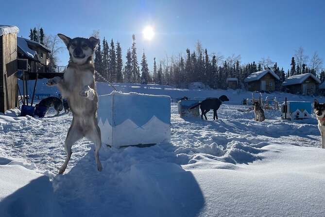 6 Days Brooks Range Expedition Private Tour Review - Health and Accessibility Requirements