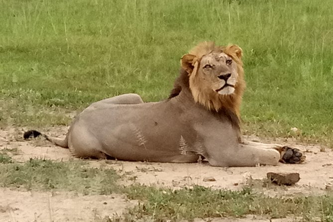 6 Days Safari to Mikumi Np, Udzungwa Mountain NP and Nyerere NP (Selous GR) - Inclusions and Exclusions
