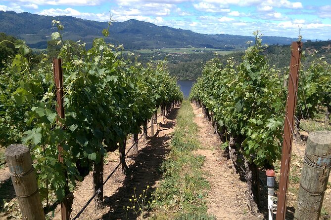 6-Hour Private Napa Limousine Wine Tour (Style & Wine) - Explore Iconic Wineries in Napa Valley