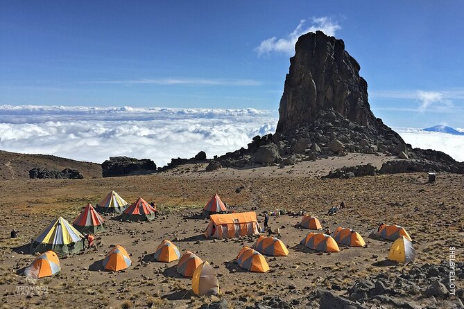 7 Day: Hiking Kilimanjaro via Lemosho Route - Meeting and Pickup Details