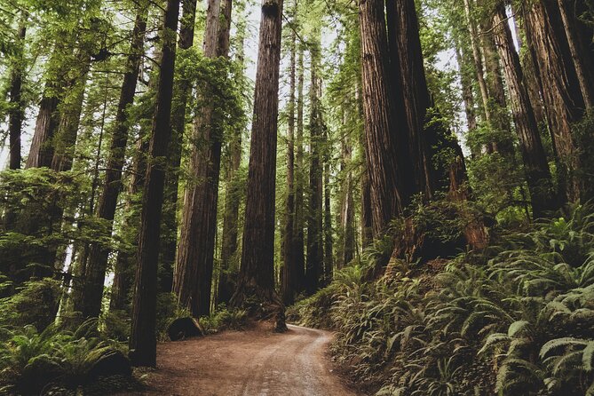 7 Day - Oregon South Experience - Accessibility Information