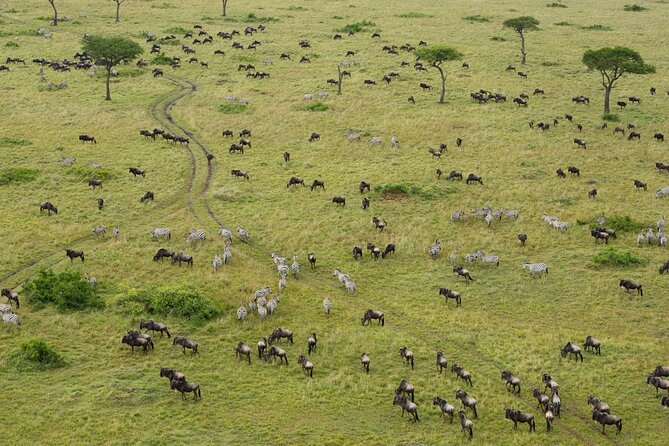 7 Days Group Camping Tarangire/Serengeti/Ngorongoro Crater and Lake Manyara - Transportation Details