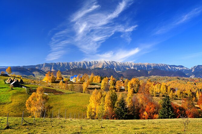 7 Days to Discover Medieval Transylvania Small Group Tour - Discovering the Charm of Brasov