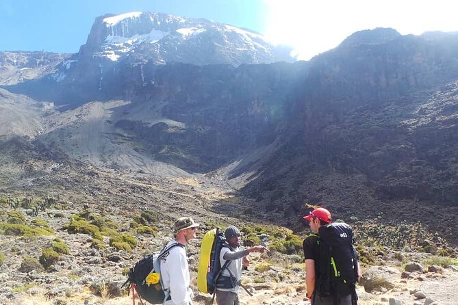 7-Days Tour Mount Kilimanjaro Trekking via Machame Route - Meeting Point and Pickup Details