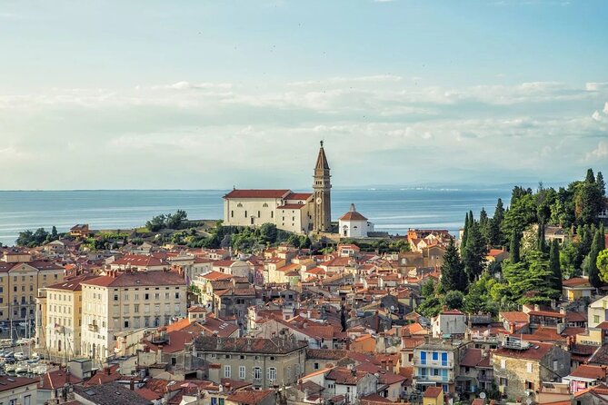 8 Days Hiking and Bike Tour in Slovenia - Culinary Delights