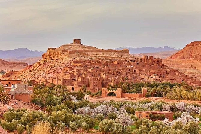 8 Days Tour Nomad Adventure Desert Camel Trekking From Marrakech Merzouga - Accessibility Features