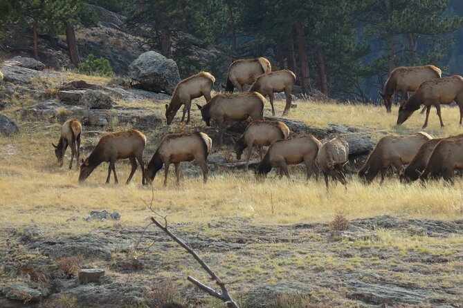 8-Days Tour of National Parks in Colorado - Meals and Dining Options