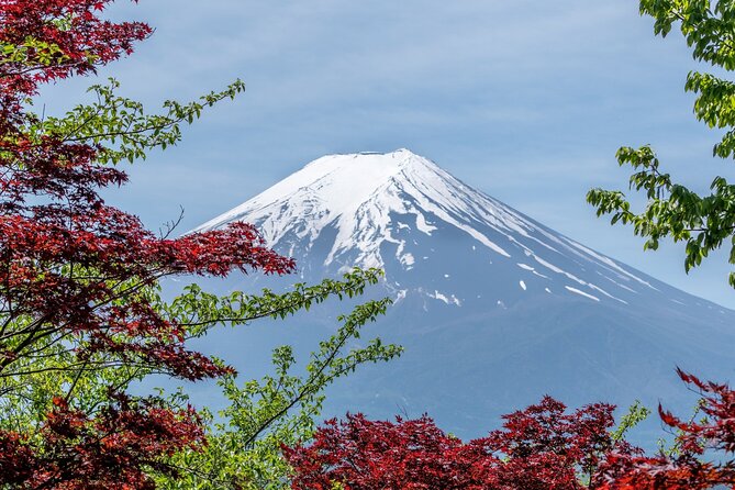 9-Day Japan and South Korea Highlight Tour - Transportation