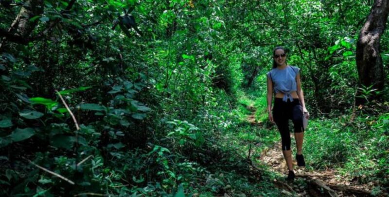 A 7-Day Nature and Wildlife Exploring - Activities and Experiences