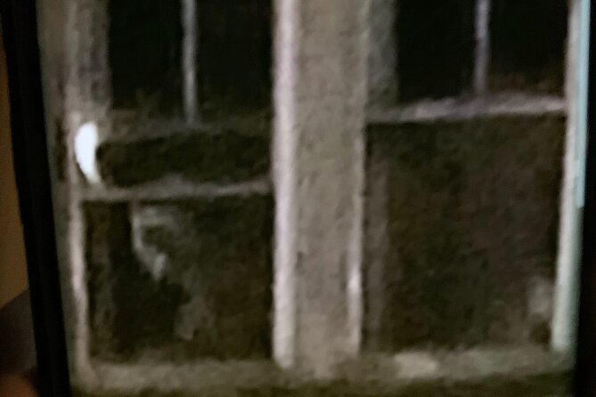 A Ghost Hunting Tour Specters and Apparitions in Salem - The Role of the Licensed Guide