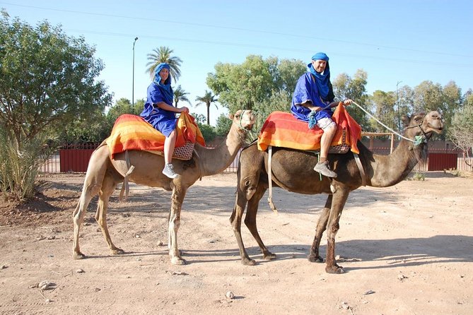 Activities in Marrakech: Camel Ride Tour - Why Choose a Camel Ride Tour