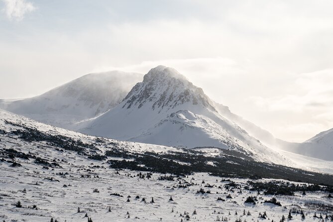 Advanced Snowshoeing Adventure - Physical Requirements and Safety