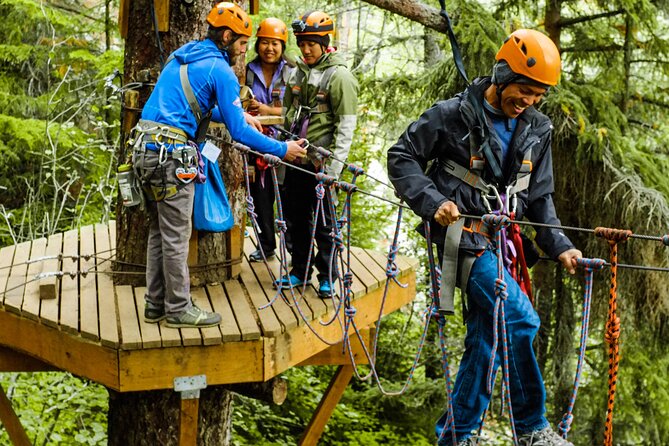 Adventure Parks & Zipline Tour - About the Adventure Parks & Zipline Tour