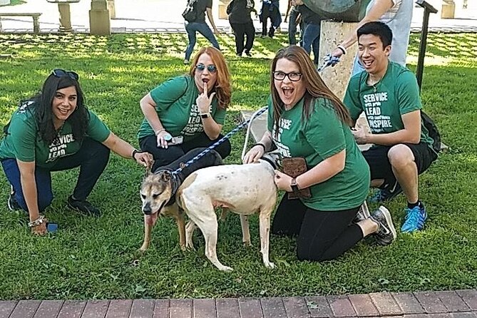 Adventurous Scavenger Hunt in Des Moines by Zombie Scavengers - Meeting and End Points