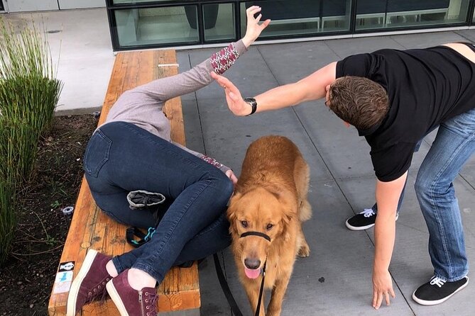 Adventurous Scavenger Hunt in Pensacola by 3Quest Challenge - Accessibility Features