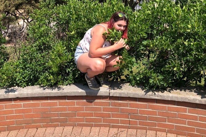 Adventurous Scavenger Hunt in Waco by Operation City Quest - Schedule and Operating Hours